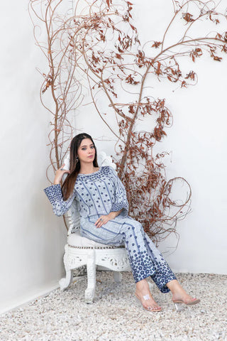 Halina D-2085 - 2 piece ready to Wear Khaddar Collection By Tawakkal Fabrics